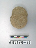 藏品(中砝碼型石網墜)的圖片